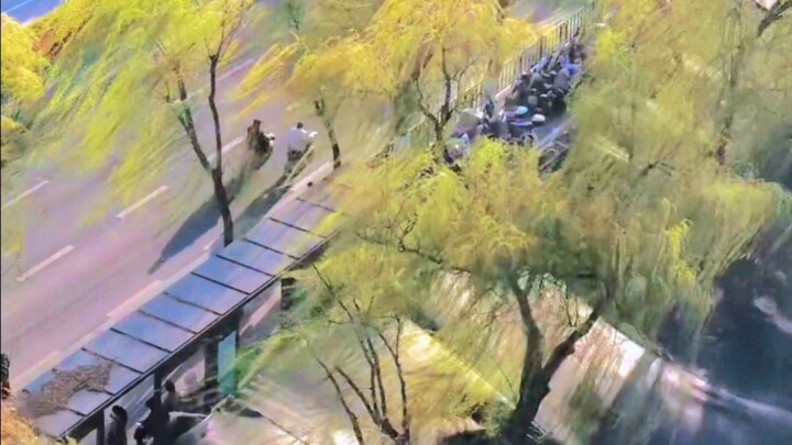 Thì ra đây chính là “Gió là dòng sông trong suốt”