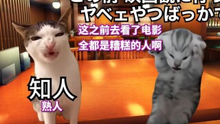 [Subtitled] Daily Routine of Going to the Cinema | Cat Meme