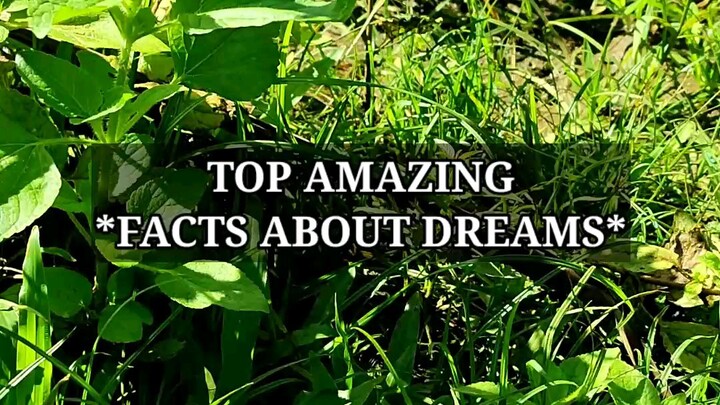 weird amazing facts about dreams