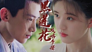 黑莲花攻略手册第十六集|白敬亭×赵露思