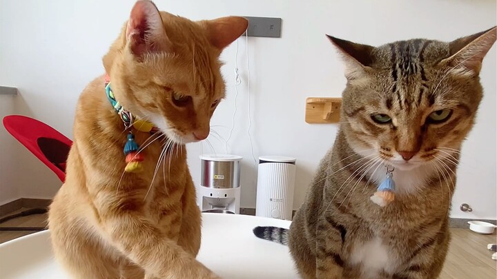 ไม่ได้เป็นพันธมิตรกัน แต่กลายเป็นศัตรูกันไปแล้ว