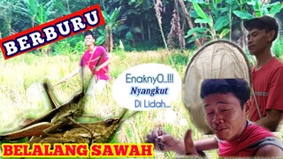 BERBURU BELALANG DI SAWAH|ENAKNYO NYANGKUT DI LIDAH..!!!