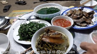 ĐẶC SẢN RAU DỚN(RAU trường thọ) Ăn Rất Ngon.Biển Nguyễn ngọc.