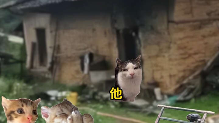 This is what “taking in” really means #CatMemeSketch# Meng Zhaoliang #Warmth #TrueToLife #Touching