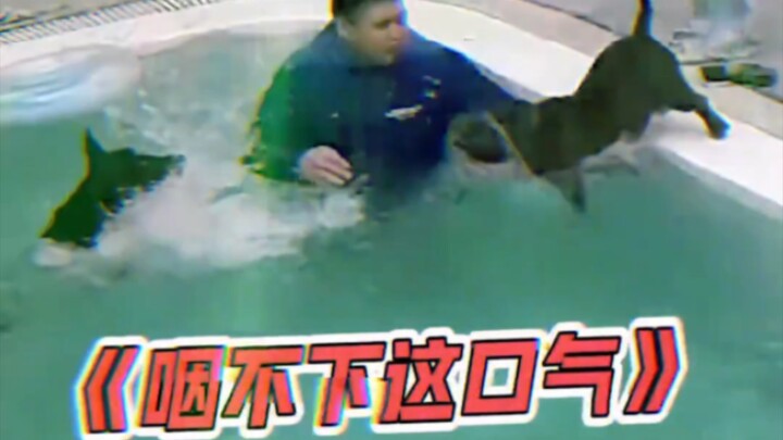 Doggy, I’m dead set on getting my way today!