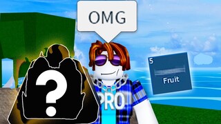 The Roblox Blox Fruits Experience 6