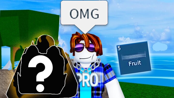 The Roblox Blox Fruits Experience 6
