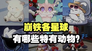 超全汇总！崩铁各种可爱小动物有趣细节和..味道？