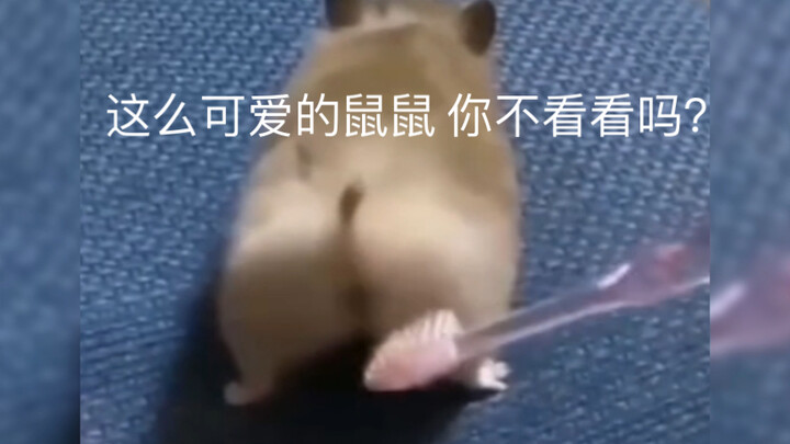 หนูน่ารักจัง...ทำจากน้ำ~