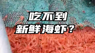 Thực tế là hầu hết mọi người đều không thể ăn tôm tươi, vậy nên chúng ta hãy cùng chia sẻ toàn bộ qu