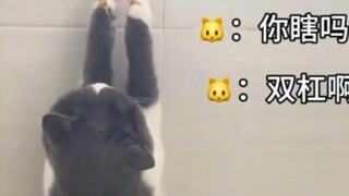 Cat: "If someone doesn't love you, even if you hang yourself, she will think you are swinging on a s