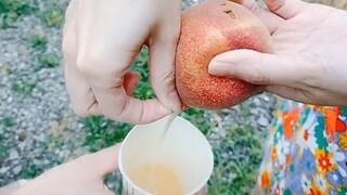 الخوخ الذي يمكن عصره يدويًا