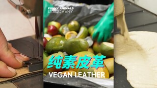 “Da” được làm từ xoài!