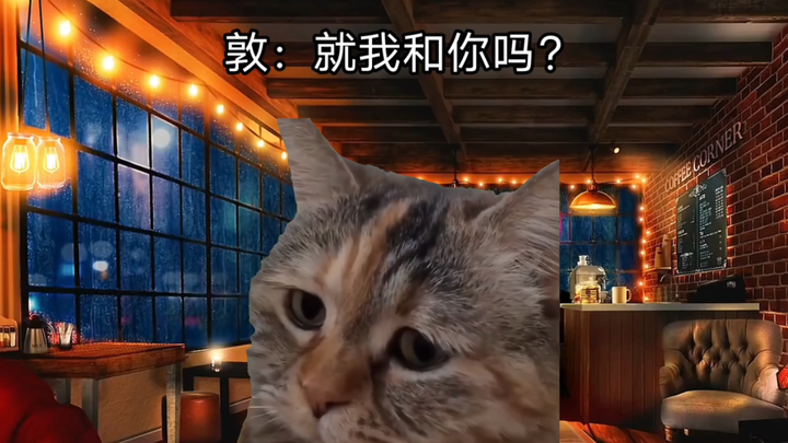 【猫meme丨芥敦】搭档带我开房？