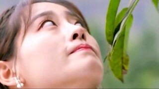 Hold her up sweet cuteprogrammer 程序员那么可爱邢邵林祝绪丹