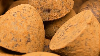 #Cokelat Truffle Di hadapan integritas dan kemampuan, perusahaan paling mengutamakan integritas#Waji