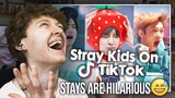 STAYS ARE HILARIOUS! (Stray Kids TikTok Compilation 2021 | Reaction)