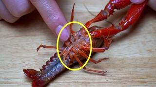 กุ้งเครย์ฟิช 3 ส่วนนี้ห้ามกินเด็ดขาด ทั้งสกปรกและเหม็น เต็มไปด้วยพยาธิ