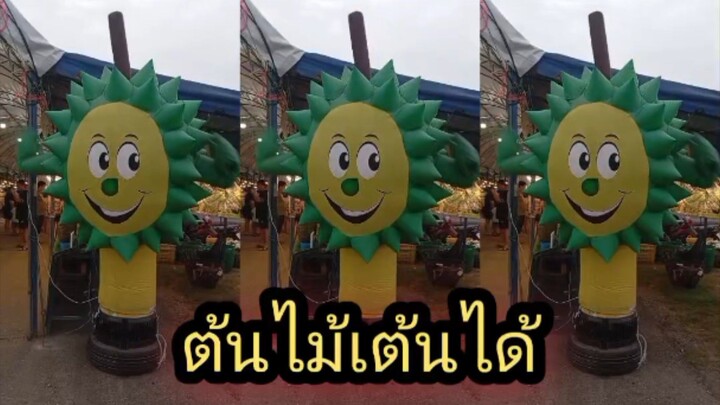 #ต้นไม้เต้นได้