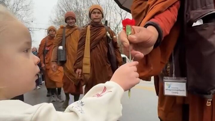 “Give someone a rose, and your hand will still carry its fragrance.” 🌹