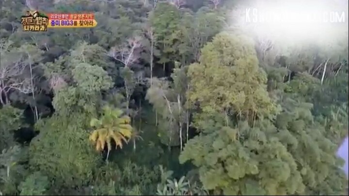 E181 Law of The Jungle_nicaragua