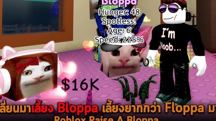 เปลี่ยนมาเลี้ยง Bloppa เลี้ยงยากกว่า Floppa มาก Roblox Raise A Bloppa