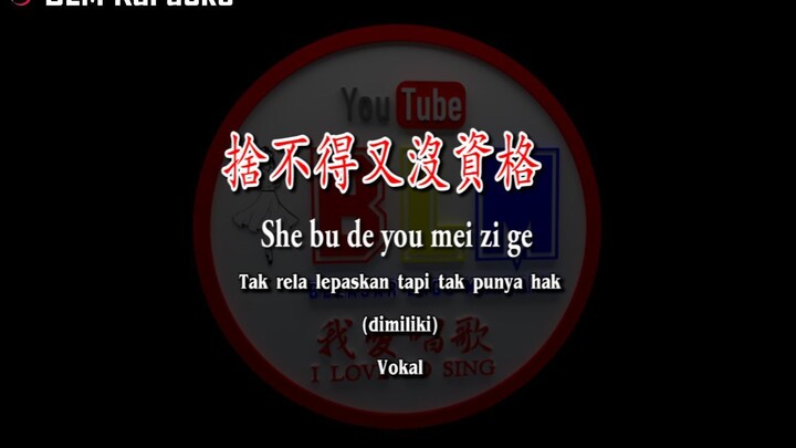 She bu de you mei zi ge - 捨不得又沒資格 - Female Vokal