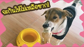 โลกของแสนดี ตอน ไอติมไผ่ทองก็อร่อยเหมือนกันนะเนี่ย!!