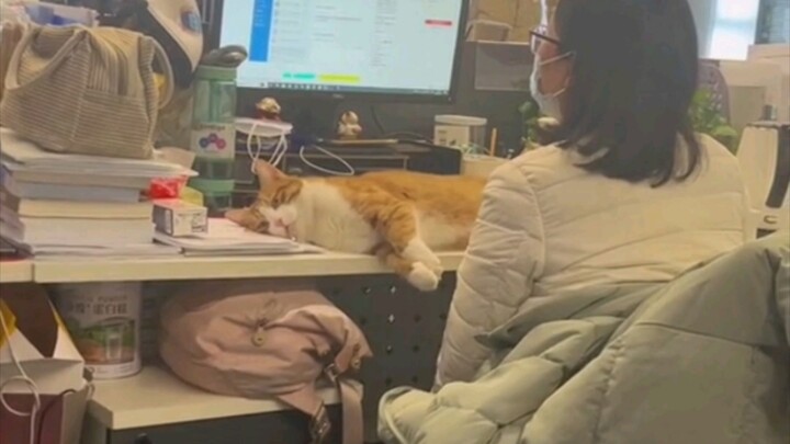 The Coldest Video in the World Has Finally Arrived!