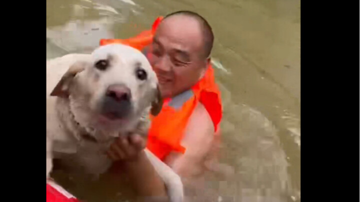 Even the dog is scared stiff.