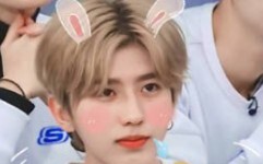 الدائم تساي شوكون (الـ真ikun الحقيقي يدخل)