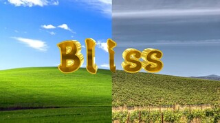 The Famous Windows XP Desktop Revealed 20 Years Later [The Ending... Disappointing...]