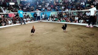 2nd fight champion at pioduran