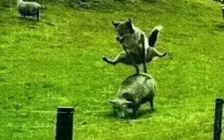 ถ้าไม่มีกล้องบันทึก ก็คงไม่เชื่อภาพต่อไปนี้เลย (ตอนที่ 9)