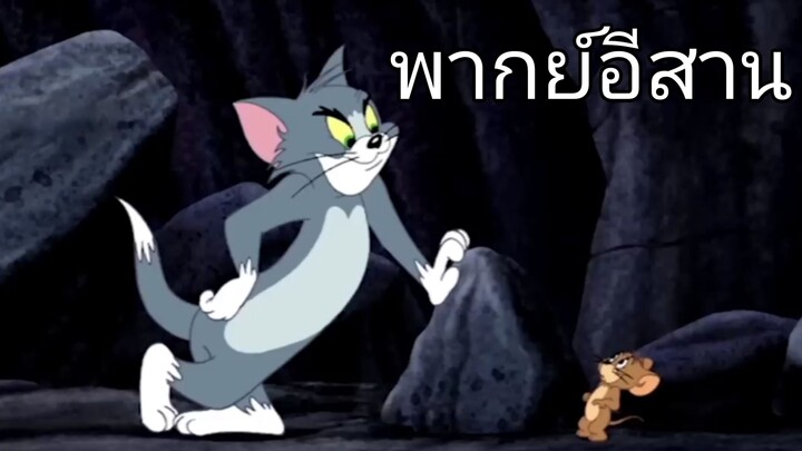 ทอมแอนด์เจอร์รี่ พากย์อีสาน ตลกฮาๆ ep2