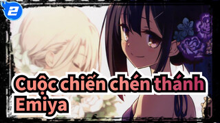 Cuộc chiến chén thánh
Emiya_2