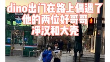 Dino在街上偶遇净汉DK,你们次人有点子缘分在身上