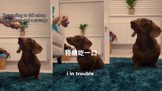 我真的只吃一口🥺🥺