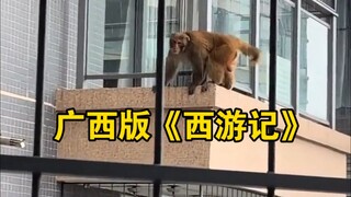 Hou Ge dengan berani menjelajahi sebuah kompleks perumahan di Nanning, layak disebut sebagai versi G