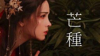 【Faira】~❤ 芒種 ❤~