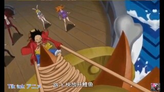 #AnimeMV2k One piece phần 2