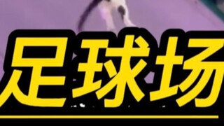 Karena fokus pertandingan sepak bola adalah kucing?