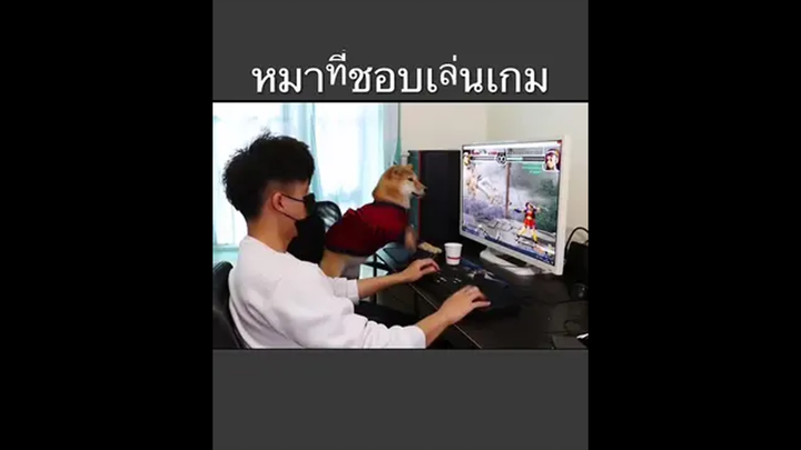 เกมแพ้ตูไม่แพ้เว้ยยย555