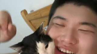 kei cat head, hahahahahaha