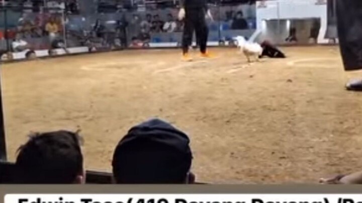 Edwin Tose vs Biboy Enriquez