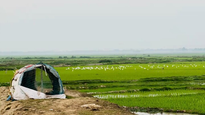 যাদের ঘর ছোটতাদের আকাশটা অনেক বড়