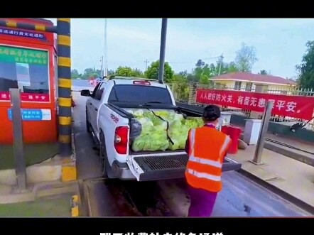 Xe chở cải thảo Pika được miễn phí trên toàn tuyến cao tốc! #Ôtô #ChiaSẻKiếnThứcÔtôMỗiNgày