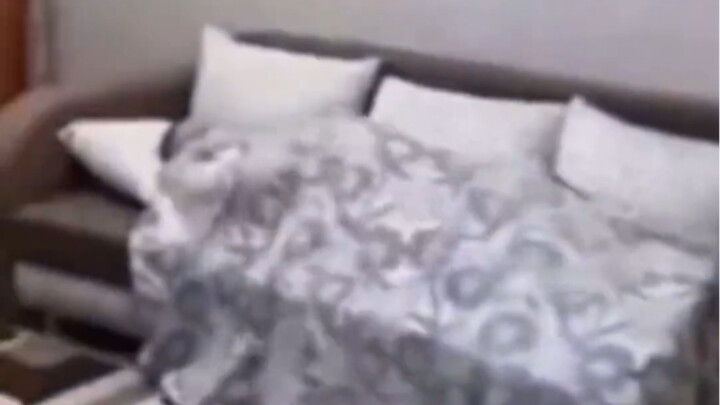 Boss shifts phases and enters Sage Mode!