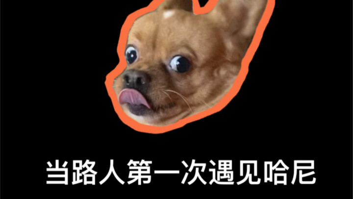 When Passersby Meet Hani for the First Time