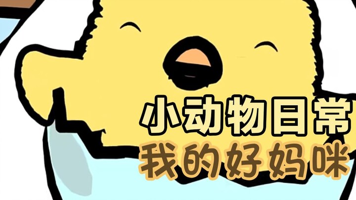 My Good Mommy 🐣🧹🤰 - [Small Animal Daily Life | Natural Habitat Shorts] with Chinese and English subt
